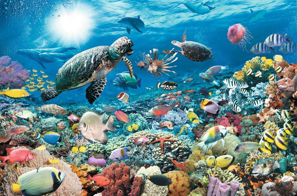 174263 - RAVENSBURGER 5000PC - UNDERWATER TRANQUILITY