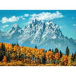 CLEMENTONI 500PC - GRAND TETON IN FALL