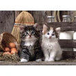 CLEMENTONI 1000PC - LOVELY KITTENS