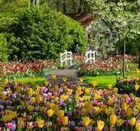 120008514 - RAVENSBURGER 1000PC - BEAUTIFUL GARDENS: KEUKENHOF GARDENS NETHERLANDS