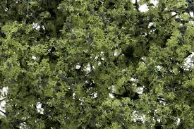 Shrubs & Saplings Light Green By WOODLAND SCENICS