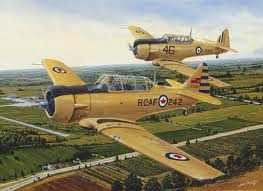 HARVARDS 1000PC PUZZLE