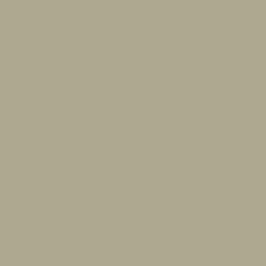 Primer IDF Iseraeli Sand Grey 61-73 17ml