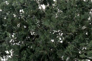 Fine Leaf Foliage Dark Green/75 ci By WOODLAND SCENICS