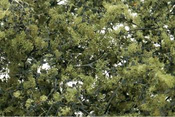 Fine Leaf Foliage Olive Green/75 ci By WOODLAND SCENICS