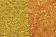 Foliage - Early Fall By WOODLAND SCENICS