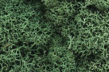 Lichen - Light Green (1.5qt) By WOODLAND SCENICS