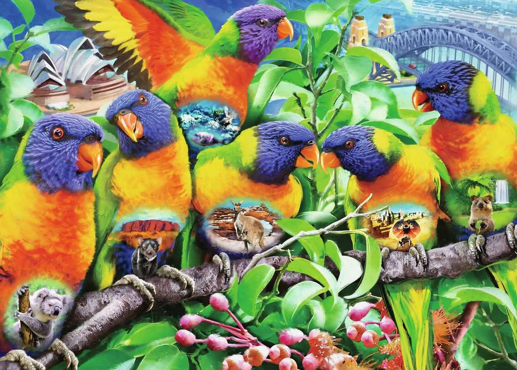 RAVENSBURGER 1000PC - LAND OF THE LORIKEET
