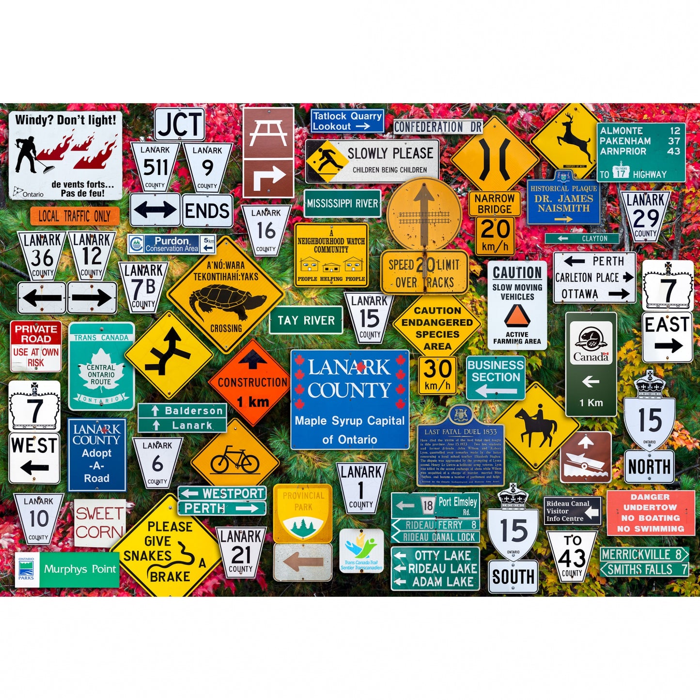 THE OCCURRENCE 1000pc LANARK COUNTY ROAD TRIP