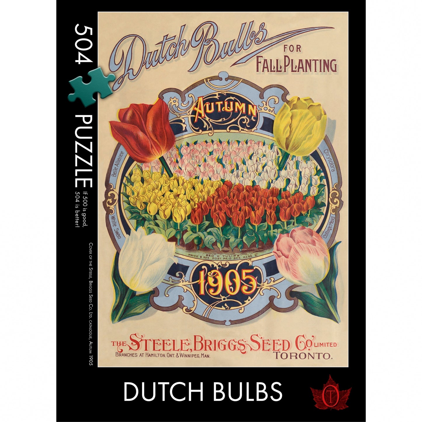 THE OCCURRENCE 500pc DUTCH BULBS