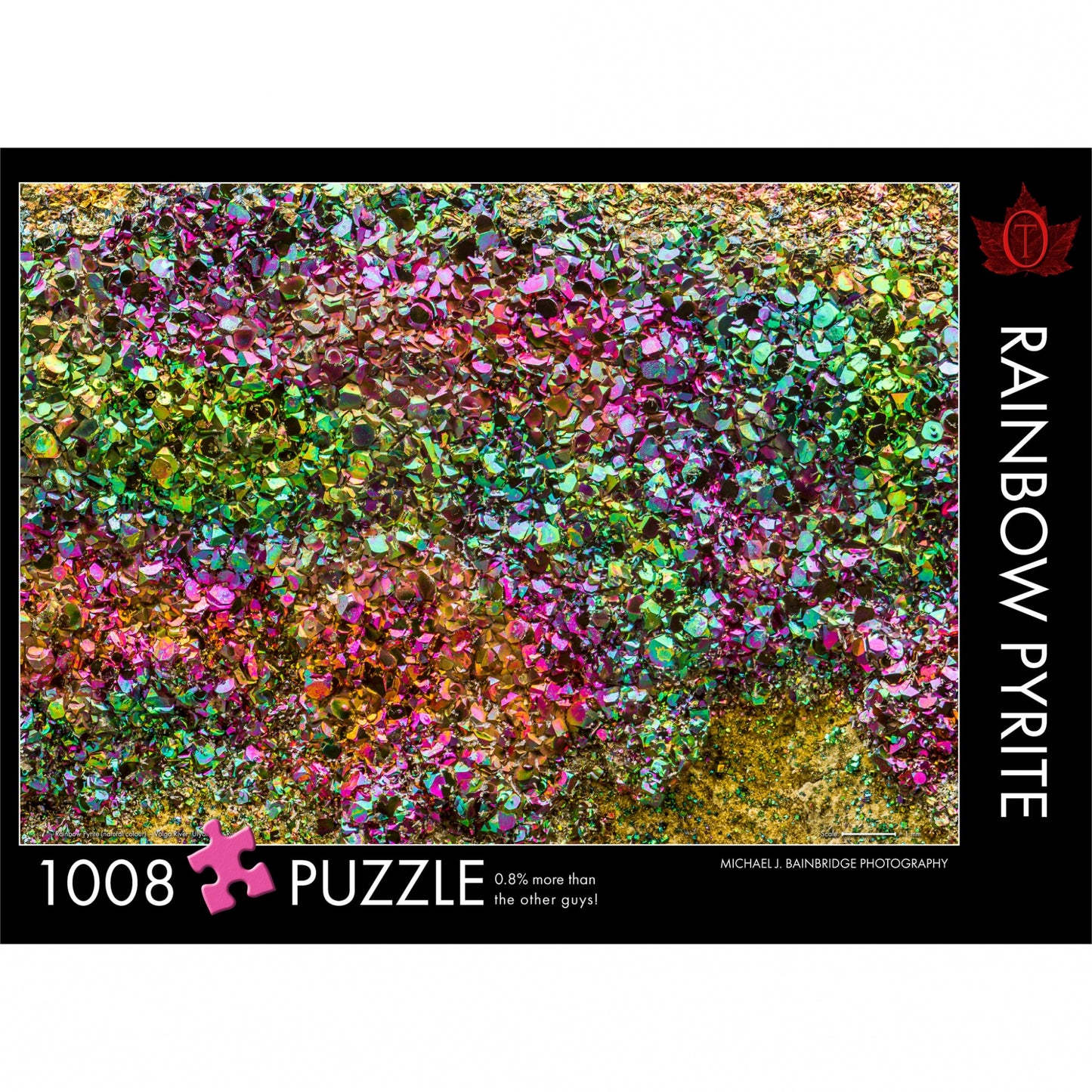 THE OCCURRENCE 1000pc RAINBOW PYRITE