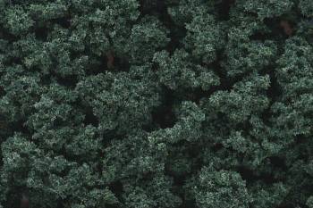 Bushes Bag Dark Green/18 ci By WOODLAND SCENICS