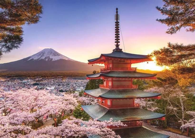 Ravensburger Mount Fuji Cherry Blossom View - 1000pcs