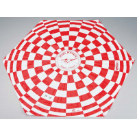 302271 Parachute 24