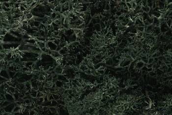 Lichen - Dark Green (1.5qt) By WOODLAND SCENICS